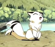 Homura Kitten Form