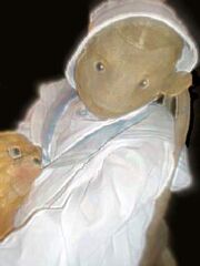 Robert-the-haunted-doll
