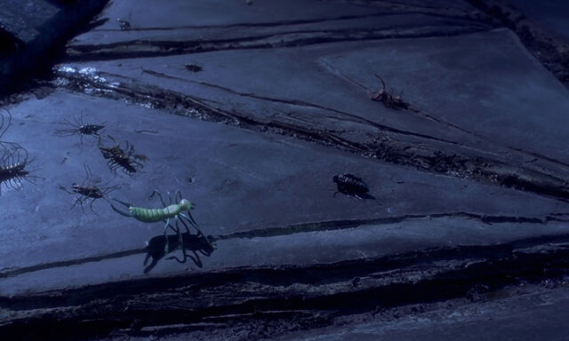 File:Nightmare-christmas-disneyscreencaps.com-8018.jpg