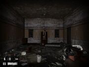 Emily's Death