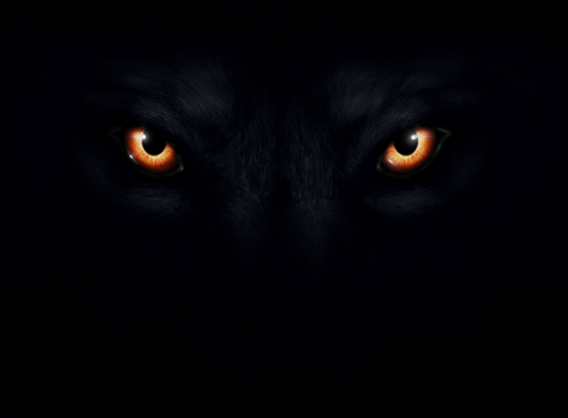 Image - Wolf eye.jpg | The Old Ones & The Immortal Chronicles Wiki ...