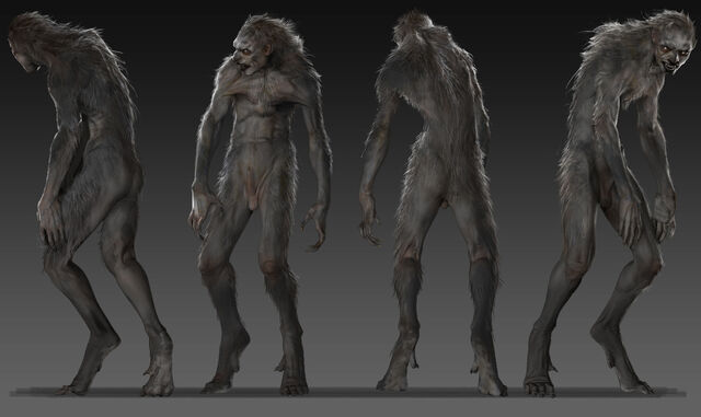 File:Half breed 1.jpg
