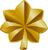 Major Insignia