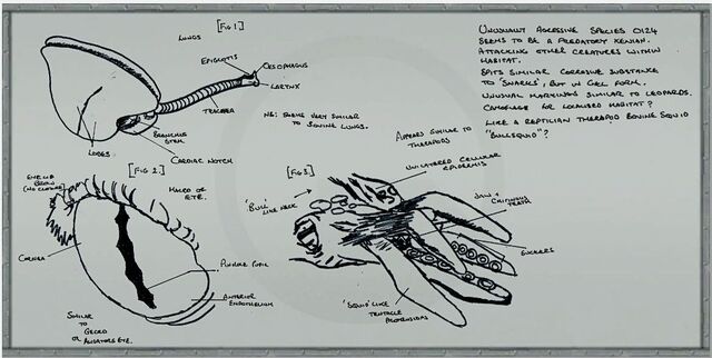 File:C2a4x labboard13.jpg