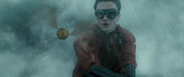 File:Harry sees the Snitch.jpg