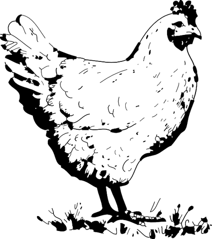 File:Chicken.png