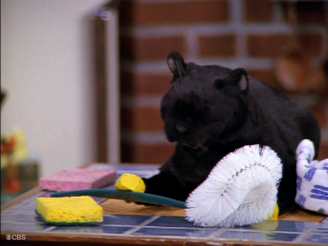 File:Toilet Scrubber Salem.png
