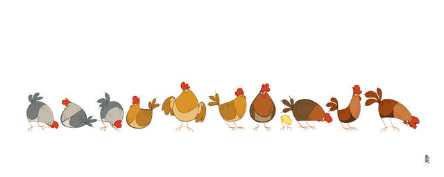 File:Animals Reynolds 09.jpg