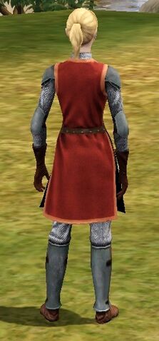 File:Chainmail female back.jpg