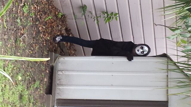 File:Proxy in my backyard.jpg