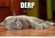 Derp-cat-meme