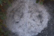 DSCF4112