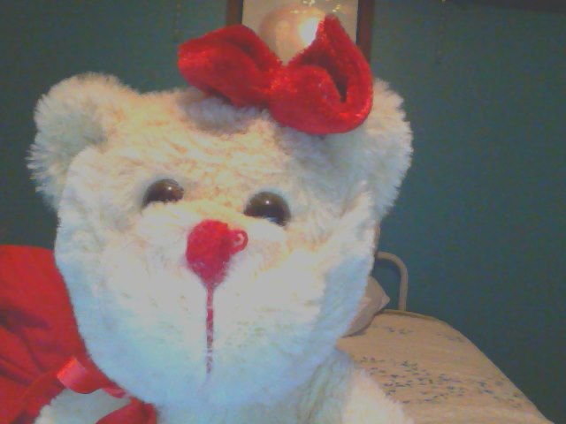 File:Snapshot 20130116.JPG