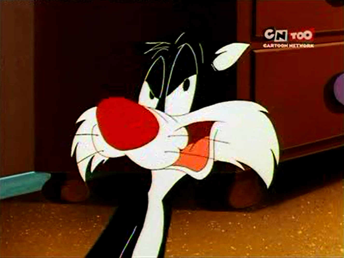 Sylvester The Sylvester Tweety Mysteries Wiki Fandom Powered By Wikia Sylvester The Sylvester Tweety Mysteries Wiki Fandom Powered By Wikia