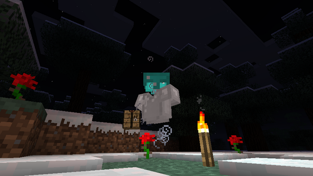 File:Invis.png