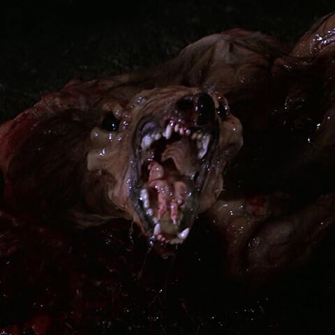 File:Kennel-Thing Profile 1.jpg
