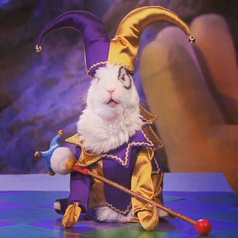 File:Drcollossojester.jpg