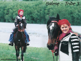 Salenes3 (19)