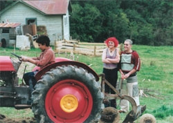 File:Sals2 (23).JPG