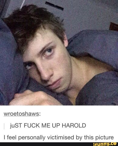 File:HARRY5.jpg