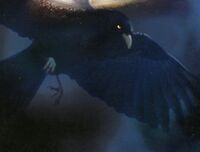 Damon as a crow