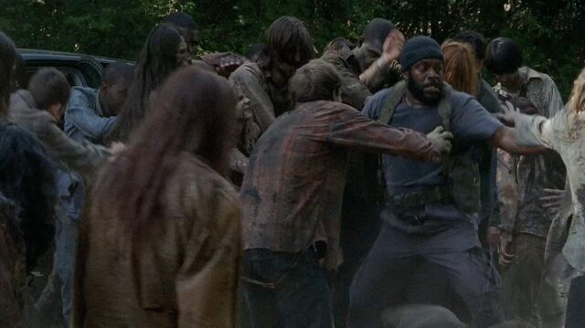 Archivo:TWD-2530.jpg