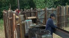 Twd0708-0137.jpg