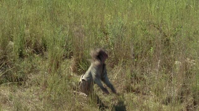 Archivo:TWD 0888.jpg