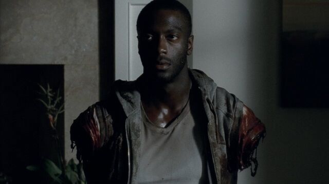 Archivo:Twd0409-1020.jpg