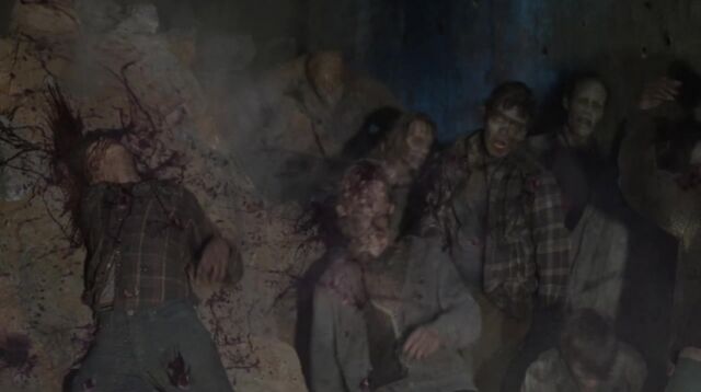 Archivo:TWD 1324.jpg