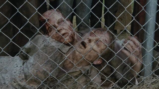 Archivo:TWD-0271.jpg