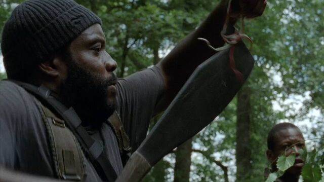 Archivo:TWD-0511.jpg