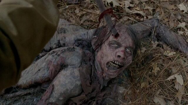 Archivo:TWD 0347.jpg