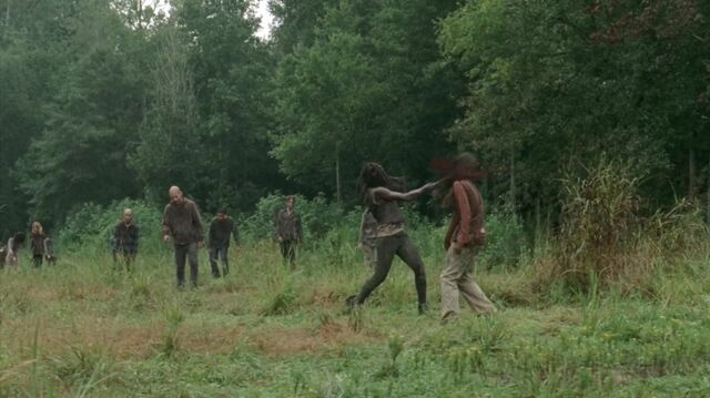 Archivo:TWD 0076.jpg