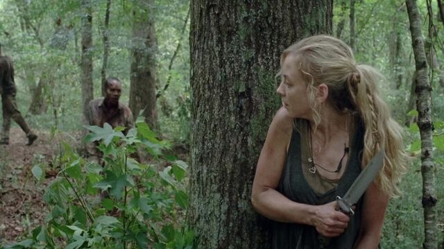 Archivo:TWD 0407.jpg