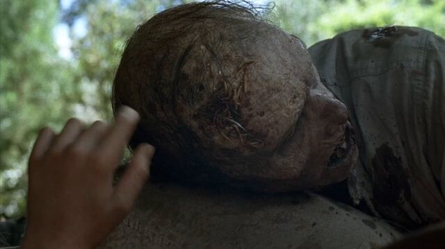 Archivo:TWD-1356.jpg