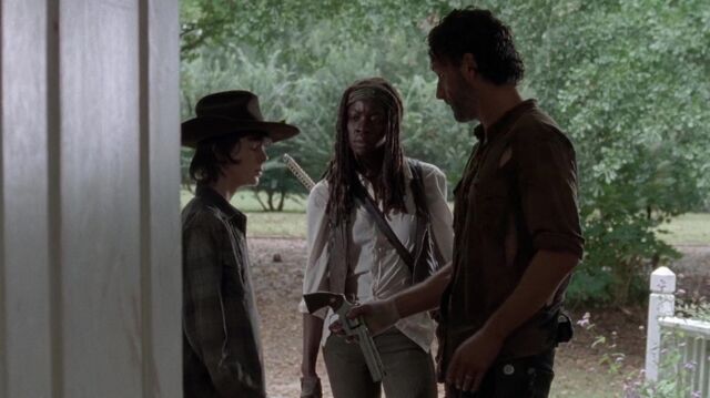 Archivo:TWD 0306.jpg