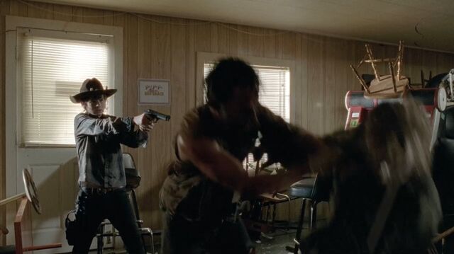 Archivo:TWD-0430.jpg