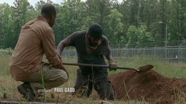 Archivo:TWD 0223.jpg