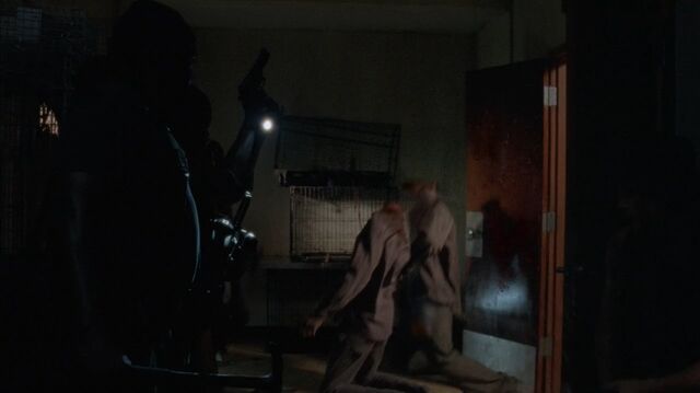 Archivo:TWD-1664.jpg