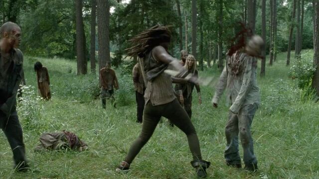 Archivo:TWD-2148.jpg