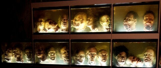 Datei:Zombie-Köpfe.jpg