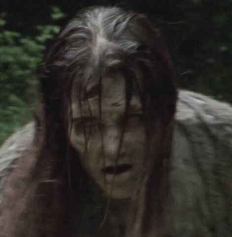 Datei:Absturz-Zombie 4.jpg