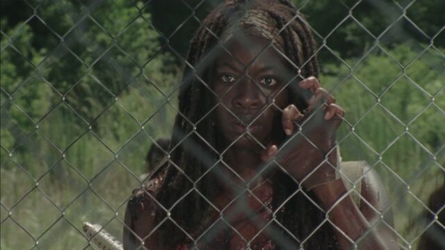 Datei:Michonne Zaun.jpg