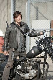 Daryl3