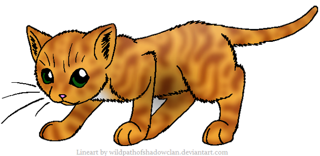 File:Maplestarmapleclan.png