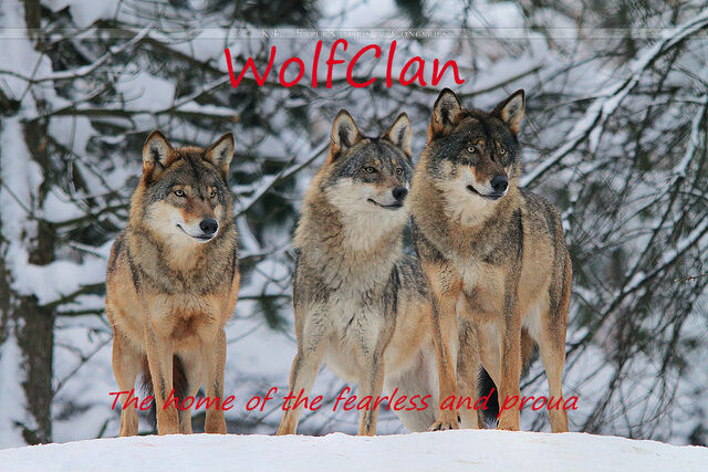 File:WolfClan by Khevyel.jpg