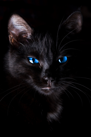 File:Nightstar.png