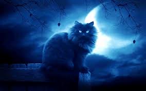 File:Nightclanpic.jpg