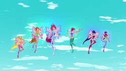 WinX-5x14-185